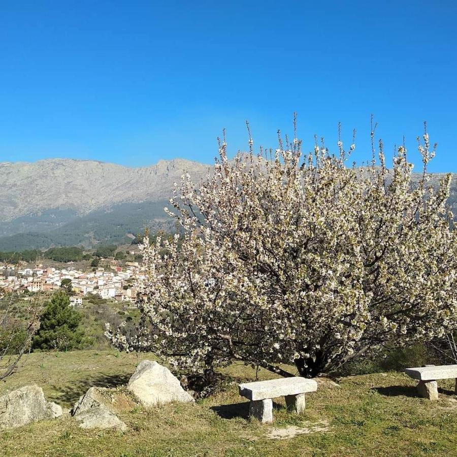Hotel Rural Los Molinillos Эль-Ареналь Экстерьер фото